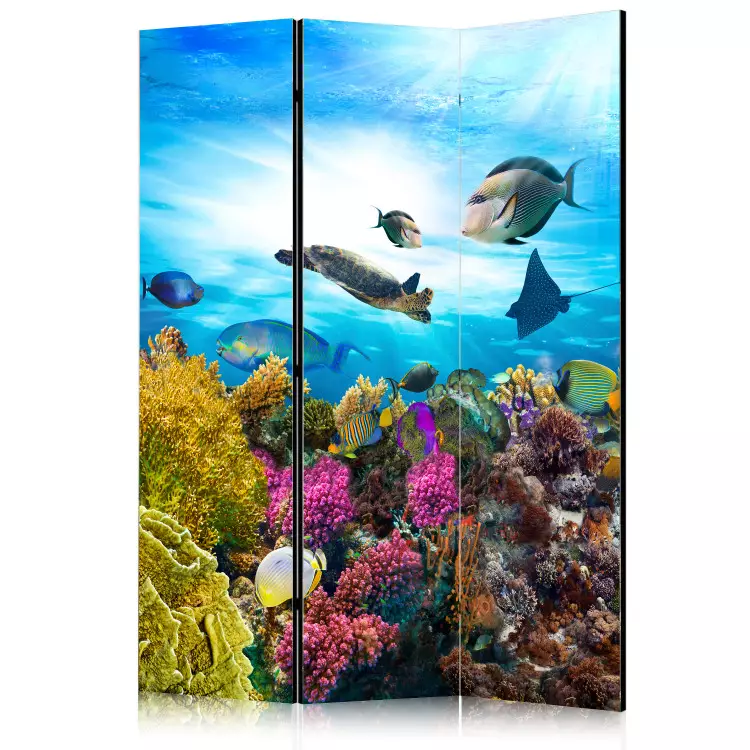 Récif Coloré (3 panneaux) - poissons plantes marines