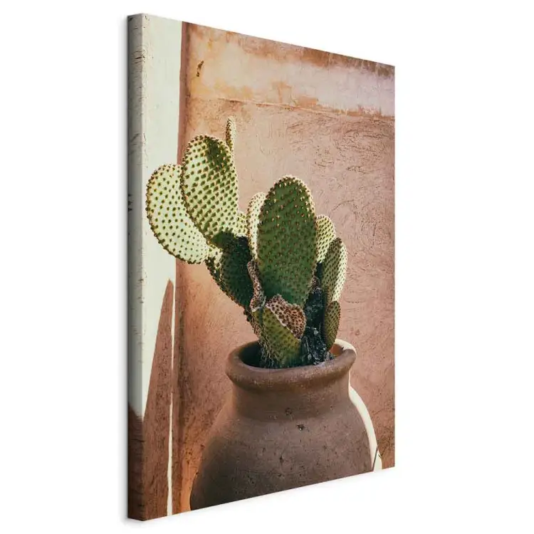 Cactus en pot vertical - Plante verte au Maroc