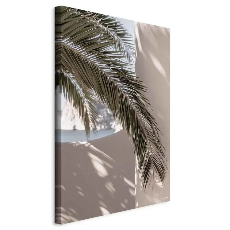 Terrasse avec vue vertical - Feuille de palmier au Maroc