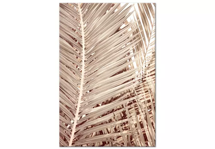 Palmier desséché - des feuilles de palmier sur fond blanc