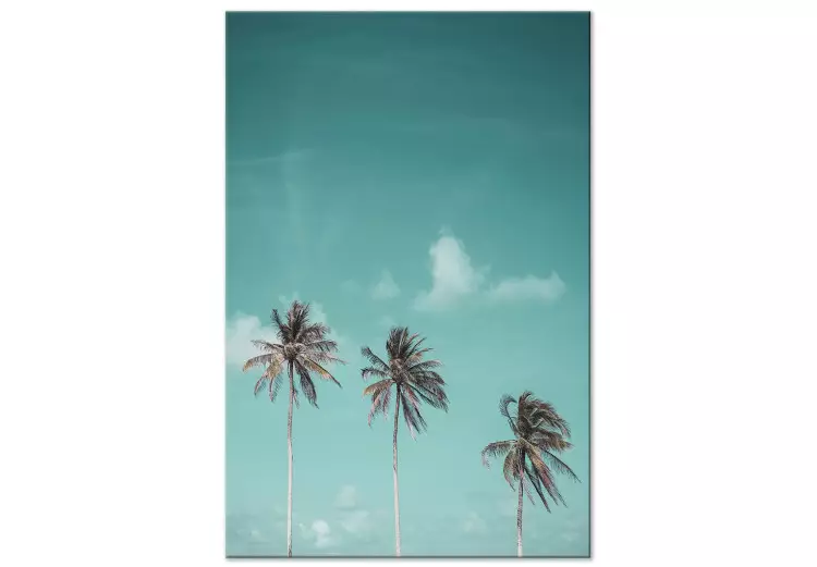 Trois palmiers - de trois arbres contre le ciel bleu