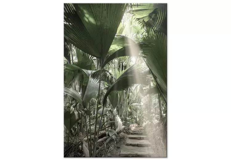 Rayon de lumière (1 partie) vertical - Paysage de végétation tropicale