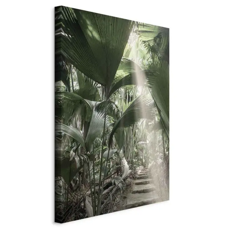 Rayon de lumière vertical - Paysage de végétation tropicale