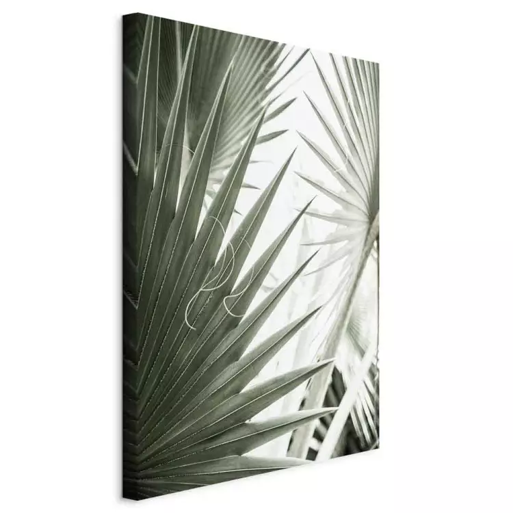 Aiguilles de plantes - des plantes exotiques en vert froid