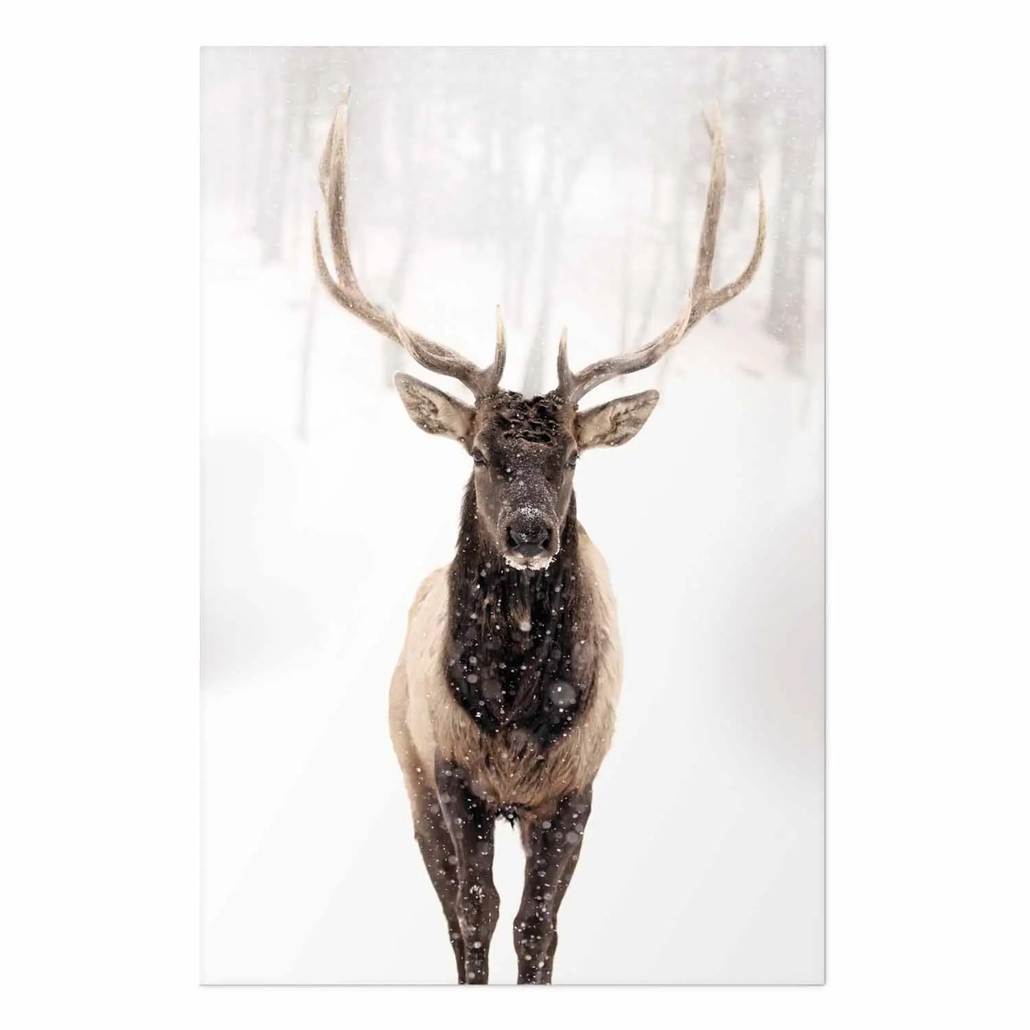 Affiche Cerf D'hiver - Poster Nature Art Déco - Photographie Bois Enneigé