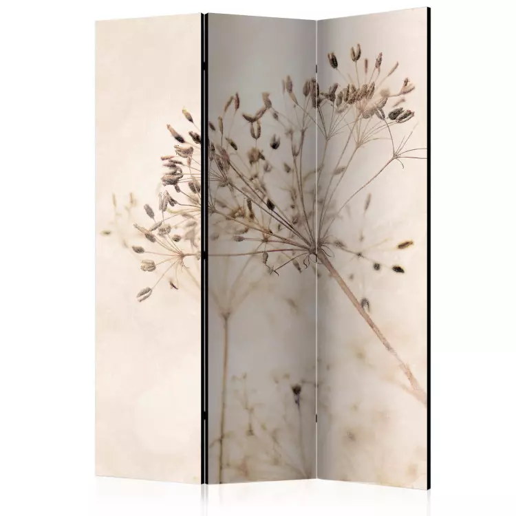 Sérénité contemplative (3 panneaux) - plantes délicates sur fond beige