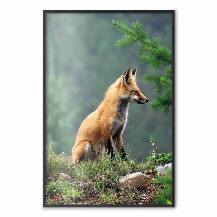 Chasseur roux - silhouette d'un renard au milieu de la forêt