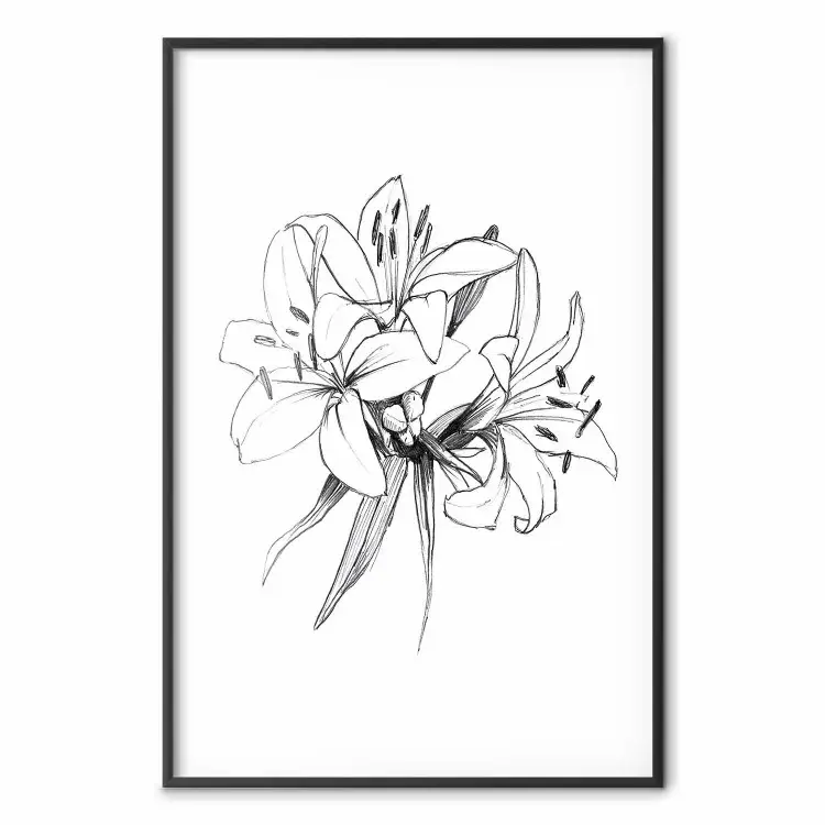 Fleurs de lys - croquis de fleurs noir et blanc