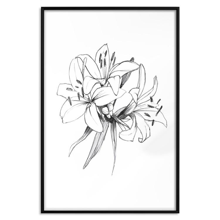 Drawn Flowers [Poster]