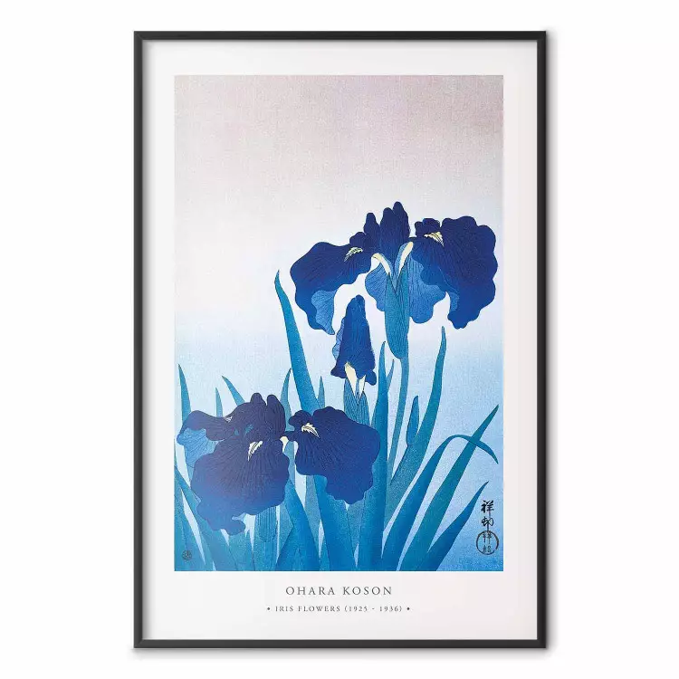 Iris bleus