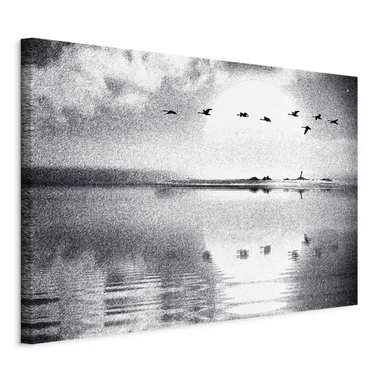 Vol d'oiseaux au-dessus du lac - Paysage monochrome