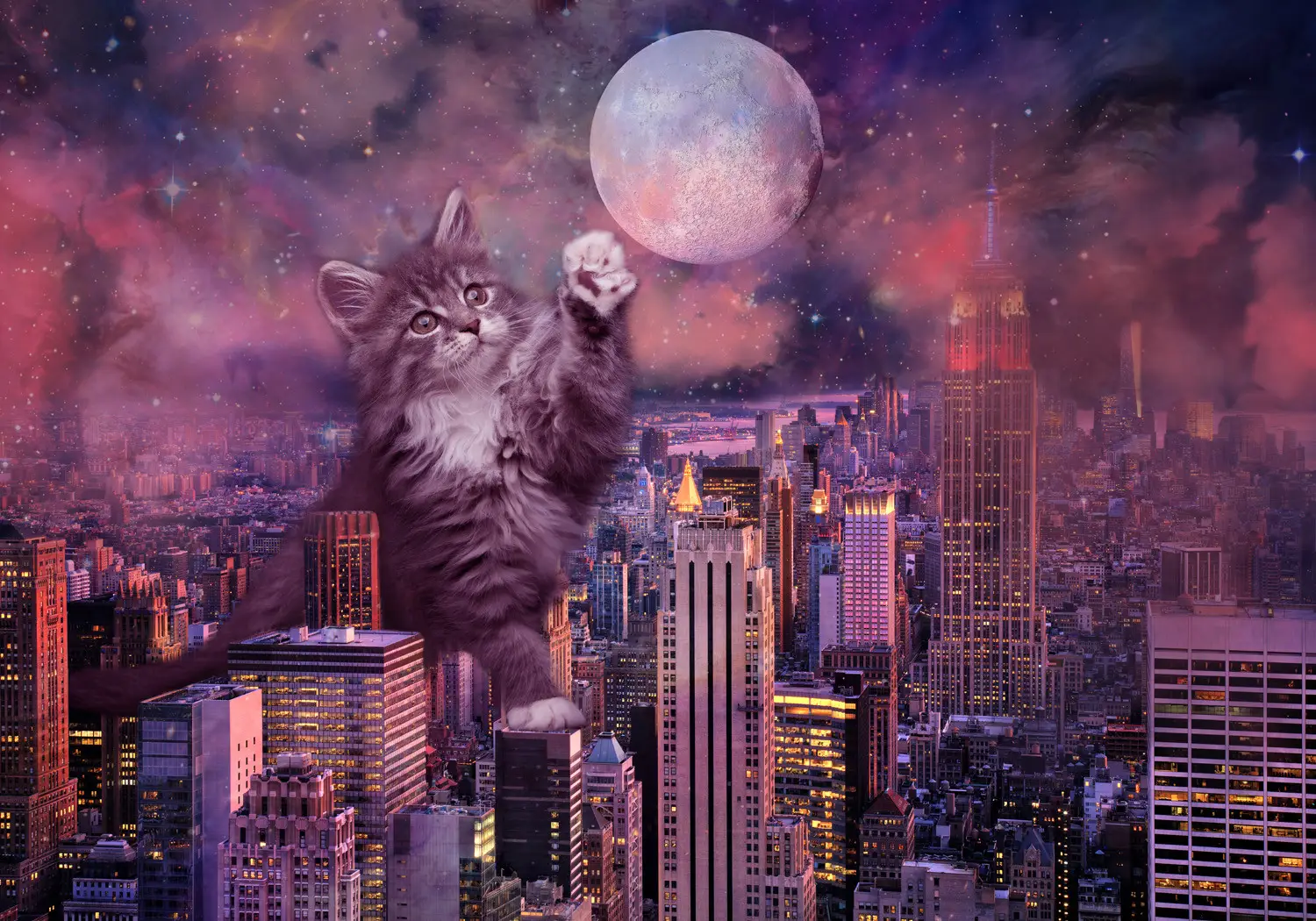 Tapisserie de chat mandala mystique - Tenture murale
