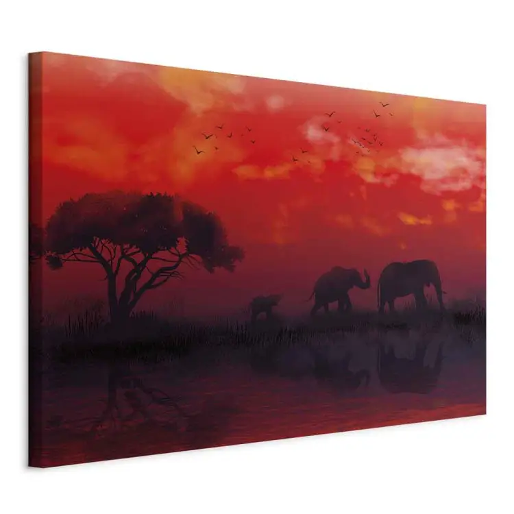 Paysage africain large - Éléphants et ciel rouge