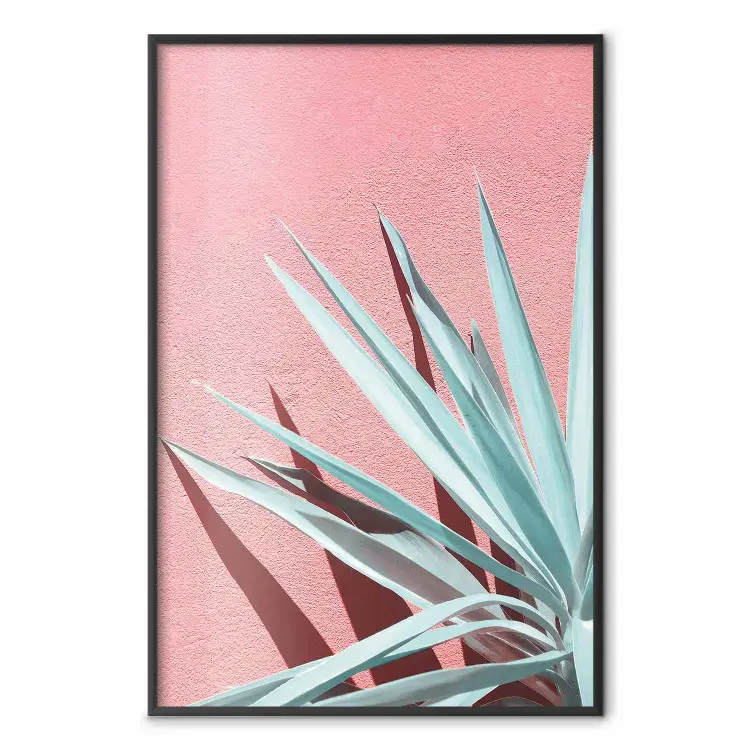 Lumière soleil - feuilles turquoise projetant ombre mur rose