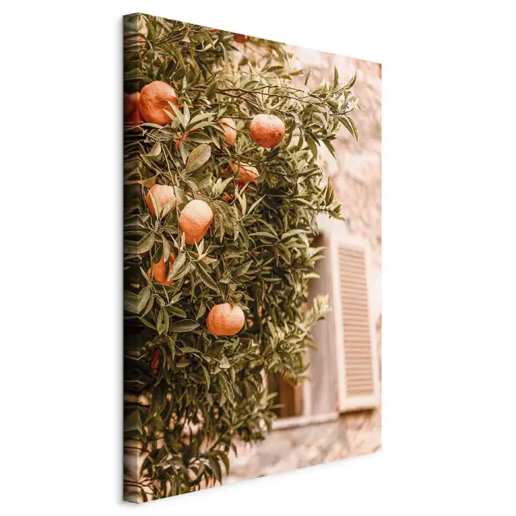 Fruits urbains - arbre de mandarine devant un bâtiment