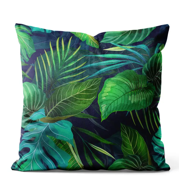 Diversité des Philodendrons - feuilles exotiques vertes