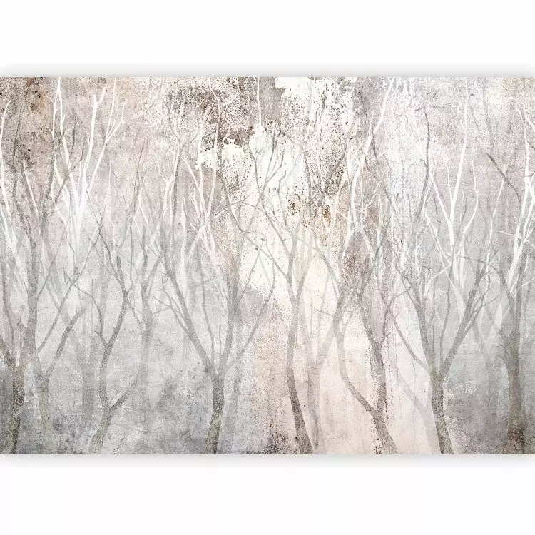 Beau fond avec arbres - mur naturel à motif forestier