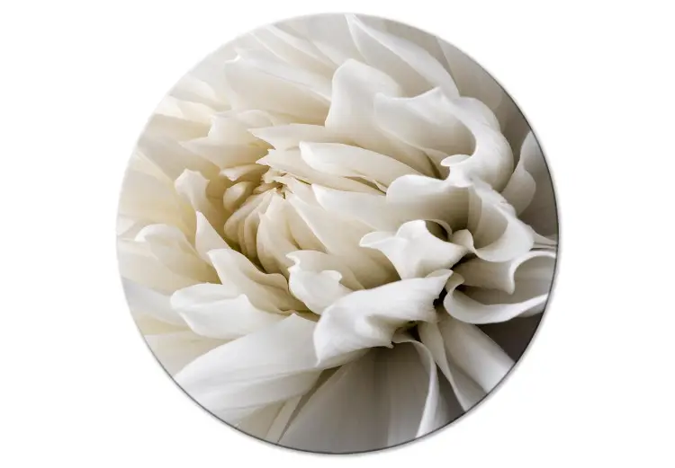 Fleur blanche - bourgeon ouvert sous chaude lumière crème