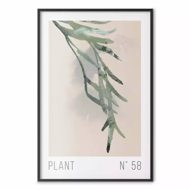 Plante numéro 58