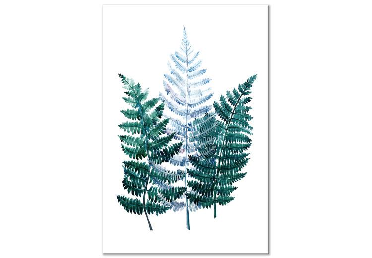 Tableau sur toile Fragrant Nature - Green Fern Leaves on a White Background
