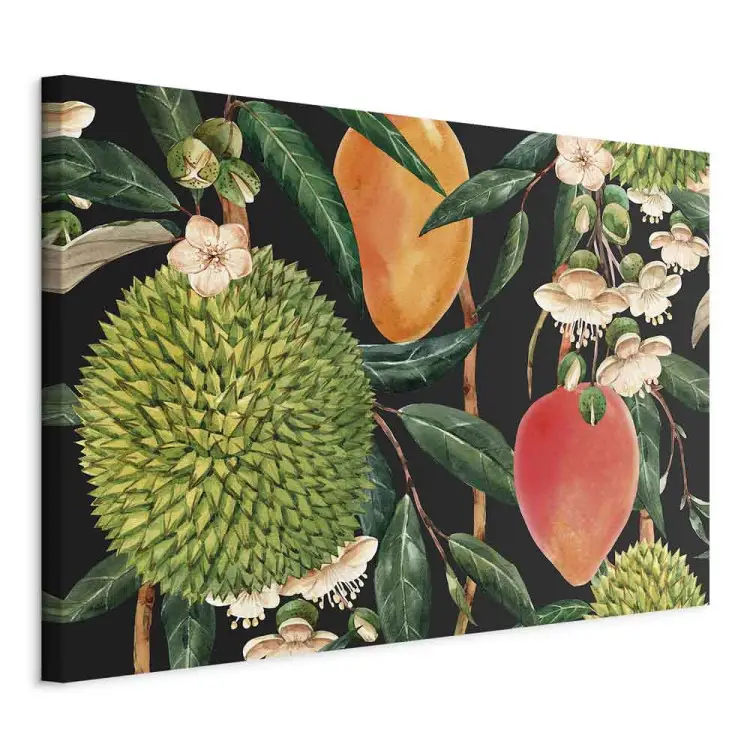 Fruits exotiques - plantes tropicales sur fond noir