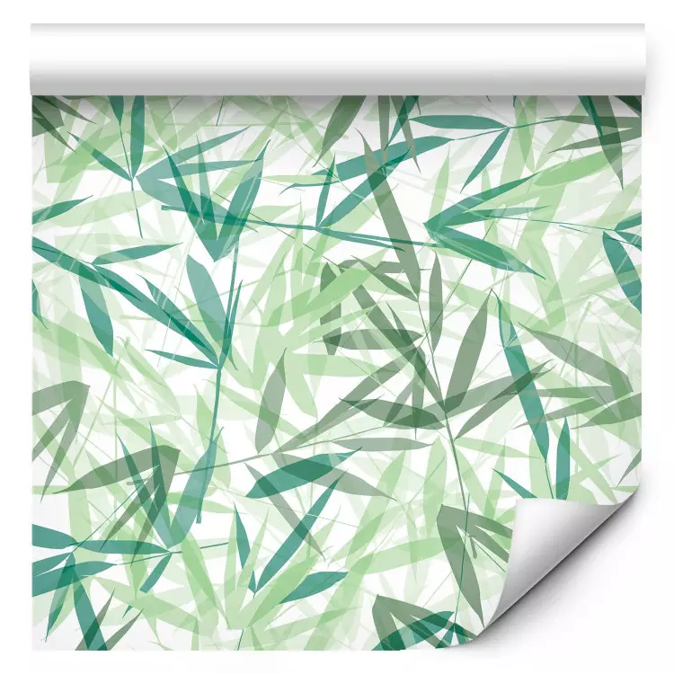 Feuilles vertes - nature