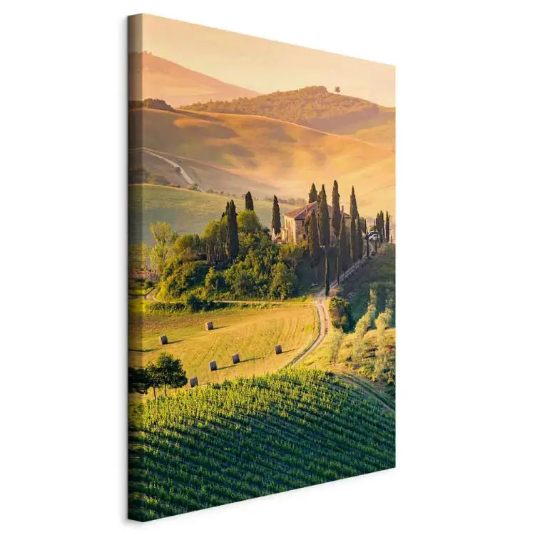 Champs ensoleillés de Toscane - paysage au coucher du soleil