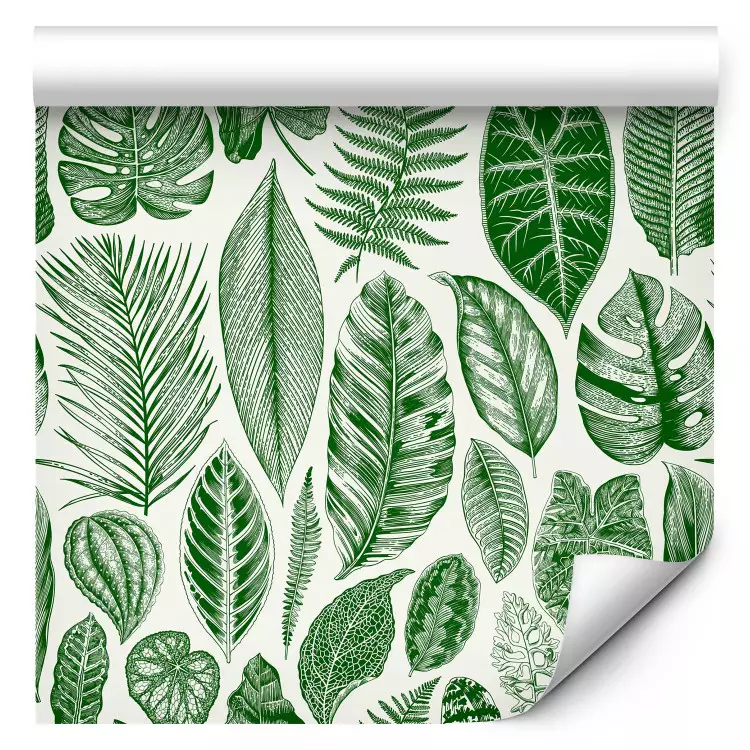 Nature verdoyante - différentes espèces de feuilles