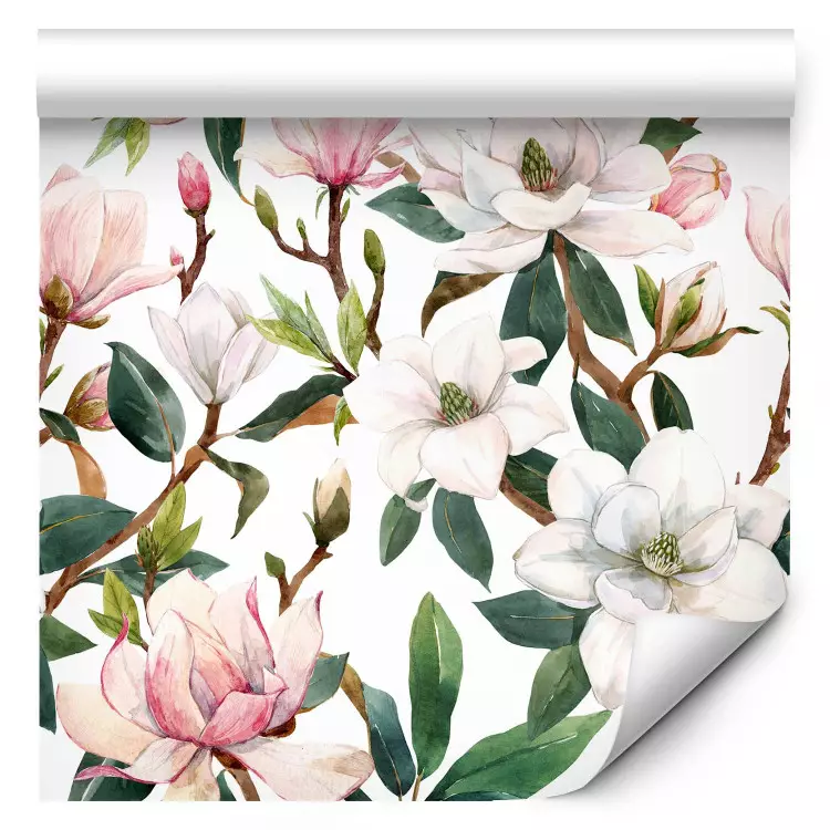 Belle magnolia - motif de fleurs blanches et roses sur des branches