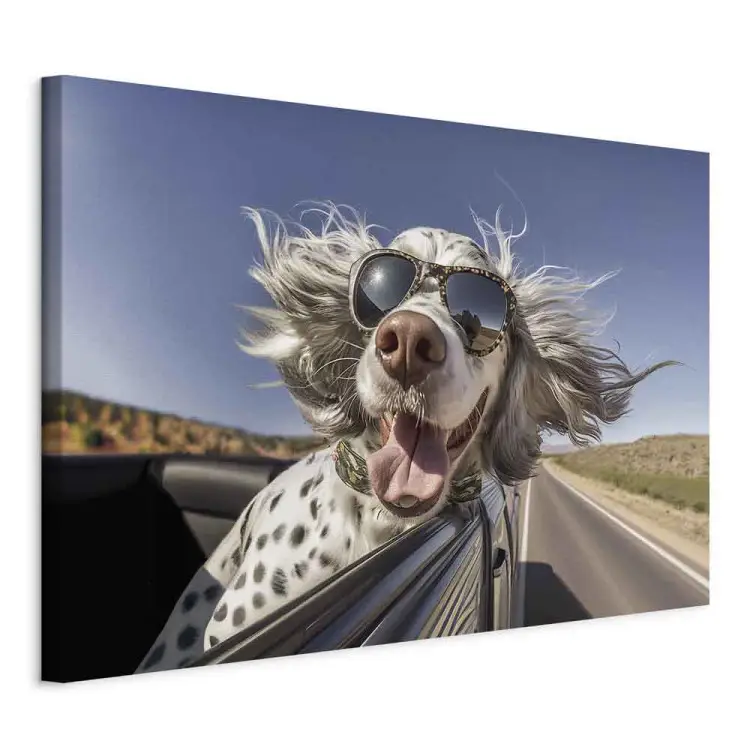 AI chien setter anglais - animal dans une voiture - horizontal