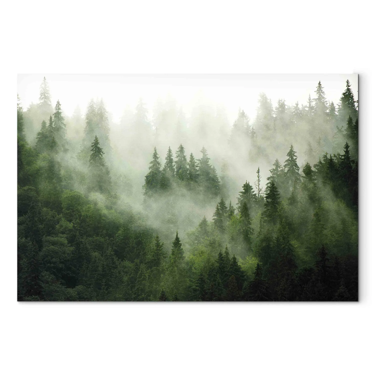 Tableau Sur Toile Forêt - 120x40 Cm - Impression Numérique - Prêt à Accrocher