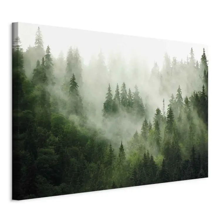 Forêt de montagne - vue sur les conifères verts couverts de brouillard