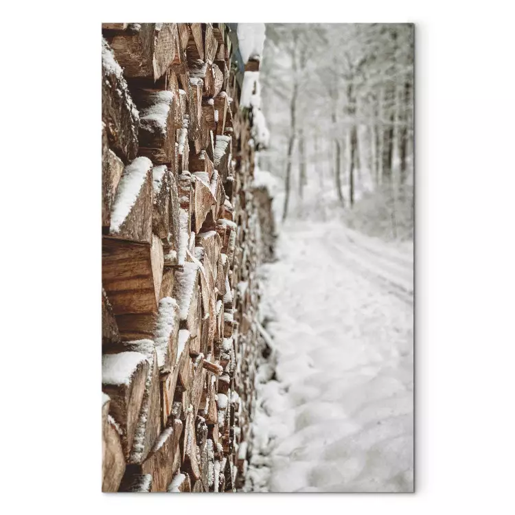 Winter Forest - Photo of a Pile of Wood on a Snowy Forest Road