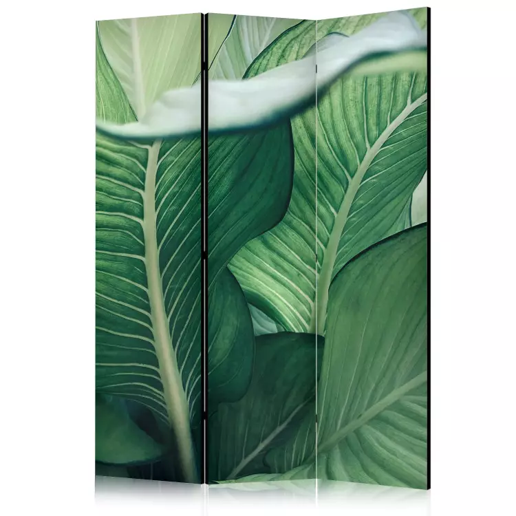 Grandes feuilles - motif floral aux nuances de vert