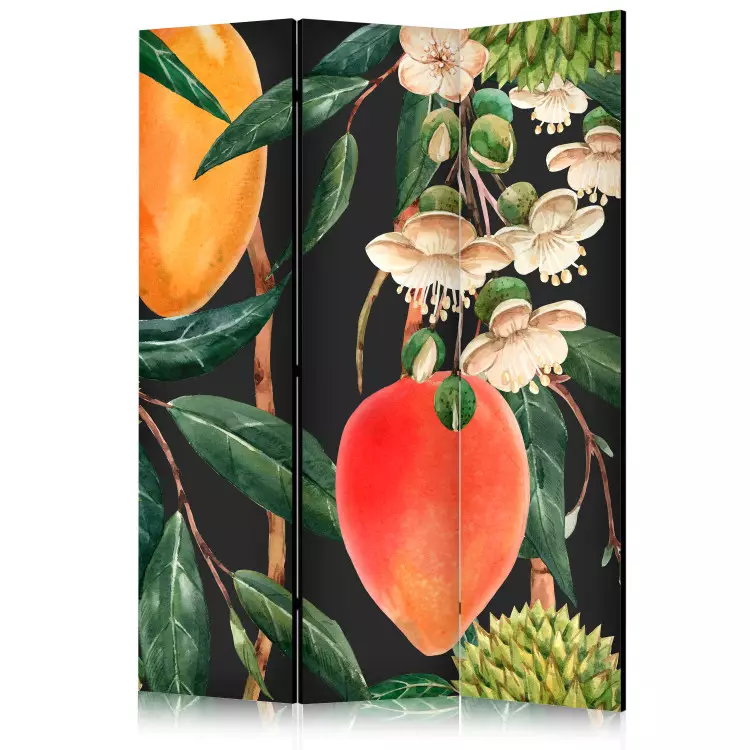 Fruits exotiques - végétation tropicale colorée