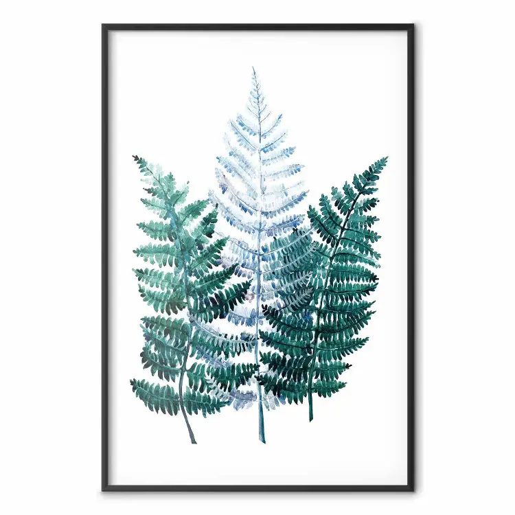 Fougère de forêt - aquarelles délicates représentant une plante