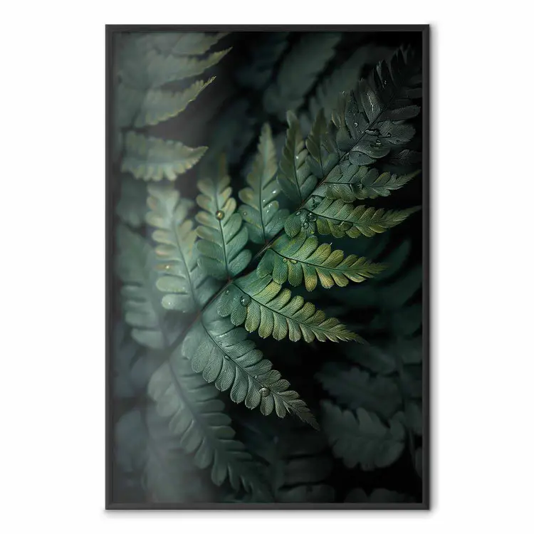 Rosée sur les fougères - jeu de lumière et d’ombre sur les feuilles