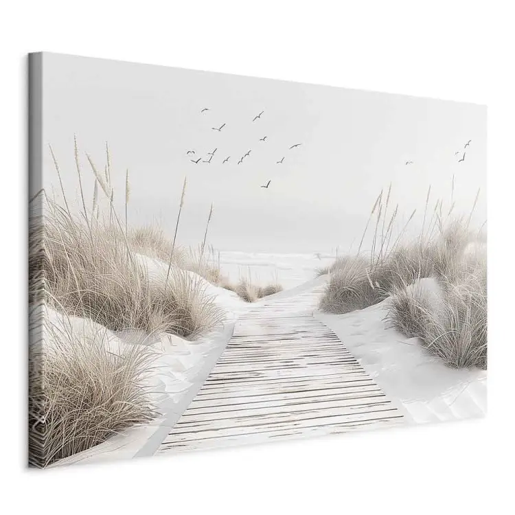 Beauté de la nature - sentier en bois à travers les dunes côtières et les herbes