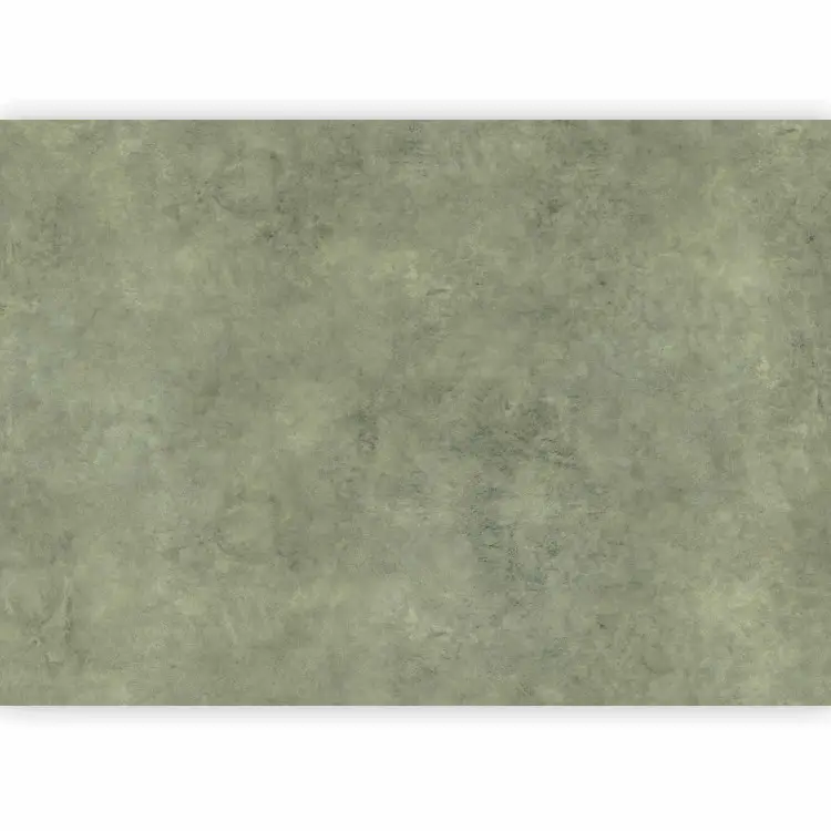 Profondeur verte - texture limewash subtile inspirée de la nature