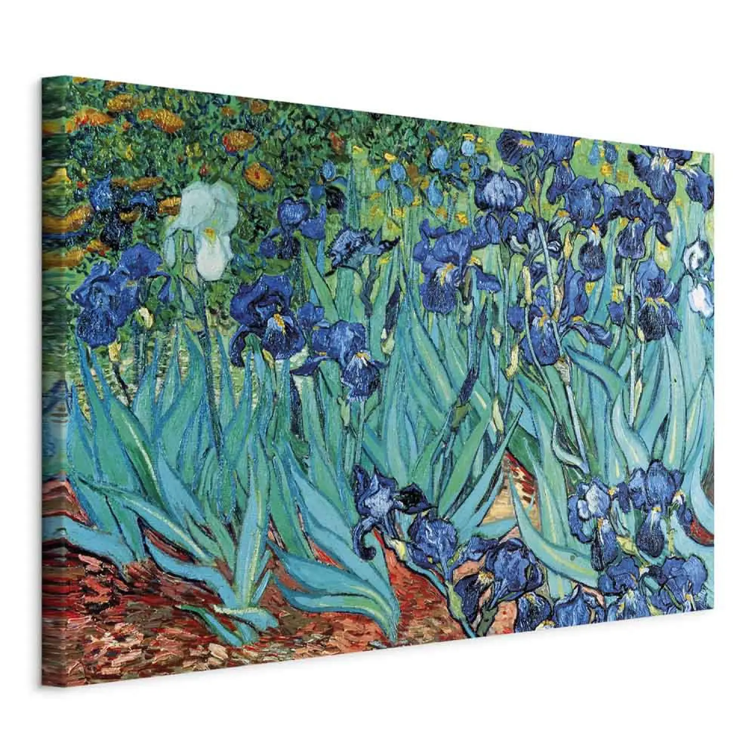 CADRE PEINTURE OEUVRE d'art Reproduction Toile autoportrait Vincent Van