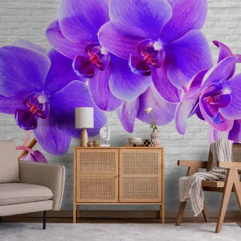 Toile à Tapisserie Orchidea – Motif Orchidée Hiver – 23,5 X 51 Cm – Coton – Pologne