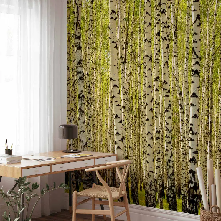 Papier Peint Fine Decor Forêt De Bouleaux – 10 M, Blanc Et Argenté, Effet Métallisé