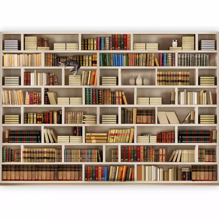 Bibliothèque domestique