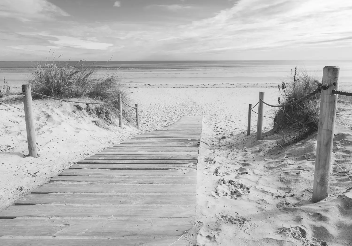 Toile Murale Photo Noir Et Blanc - Hamac Sur La Plage - 30x40 Cm - Décoration Salon Chambre - 4