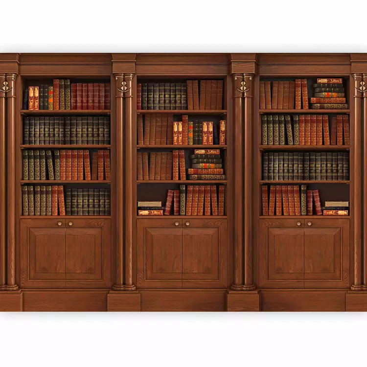 Bibliothèque élégante