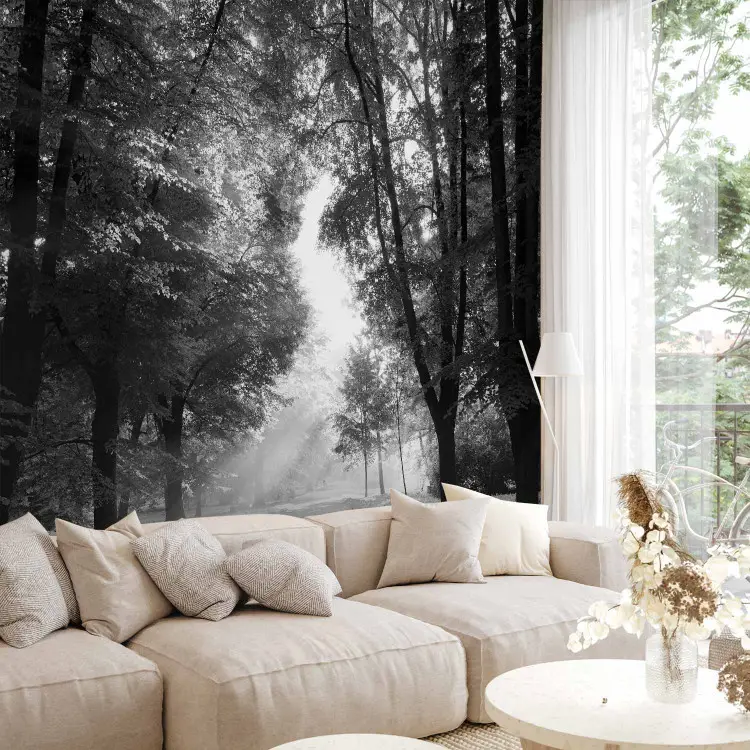 Papier peint Amis de longue date - un paysage en noir et blanc avec une ...
