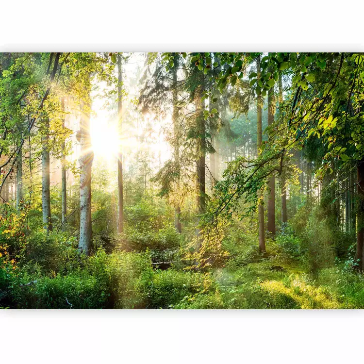 Nature indomptable