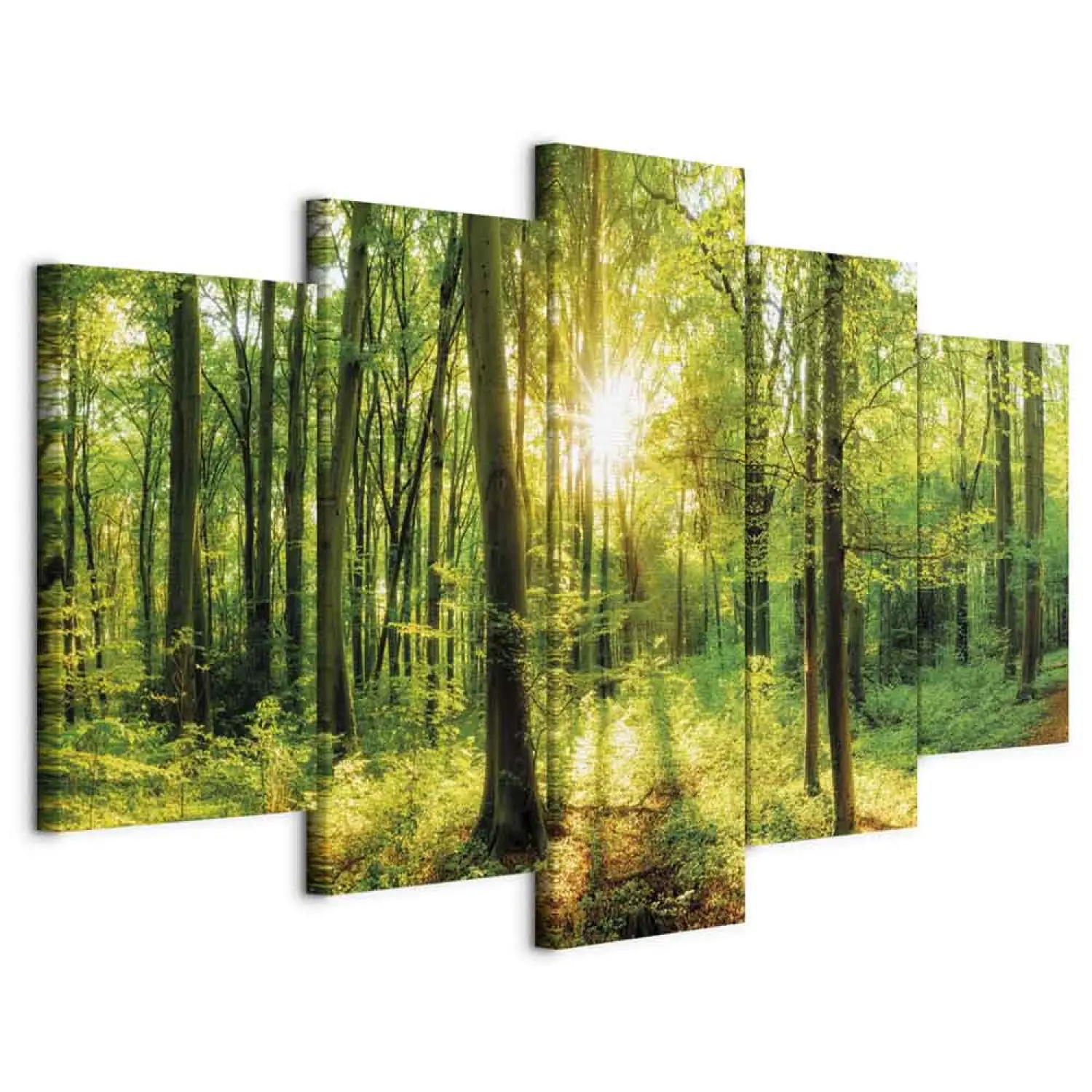Impression Sur Toile 70x50cm – Forêt Au Soleil Levant – Tableau Déco Nature