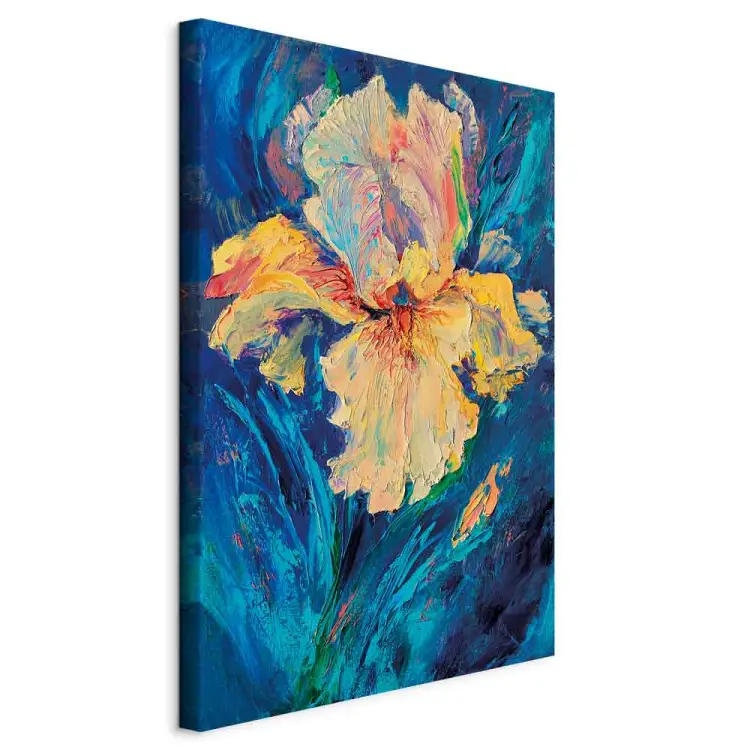 Bel iris