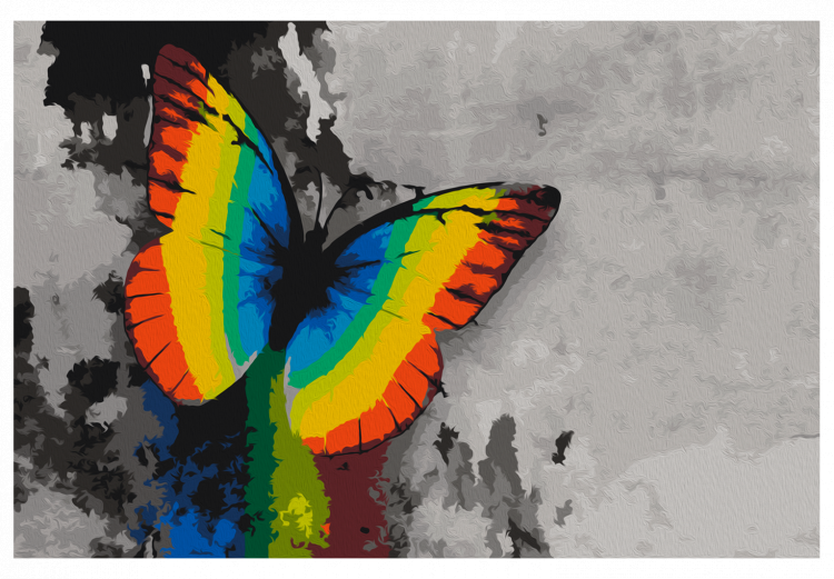 Peinture par numéros Colourful Butterfly 108000 additionalImage 7